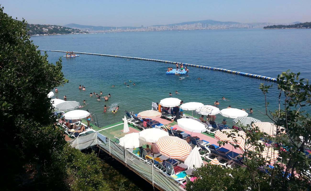 IBB Buyukada Halk Plaji'in fotoğrafı beton kaplı yüzey yüzey ile