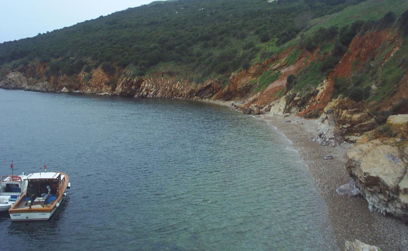 Buyukada Kursunburn Martyrs'in fotoğrafı gri çakıl taşı yüzey ile