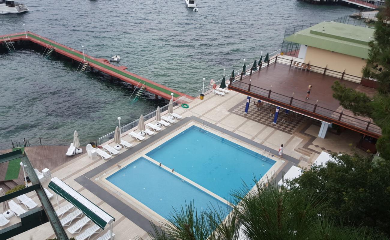 La vie cafe'in fotoğrafı beton kaplı yüzey yüzey ile