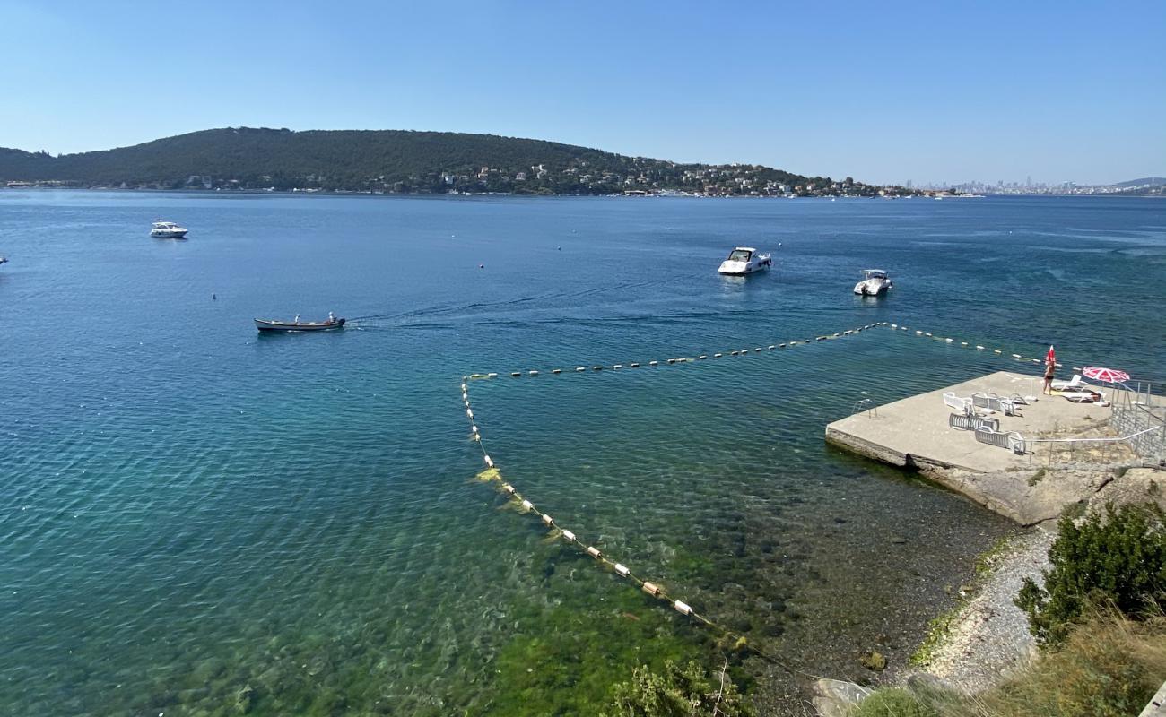 Elio Sedef'in fotoğrafı beton kaplı yüzey yüzey ile