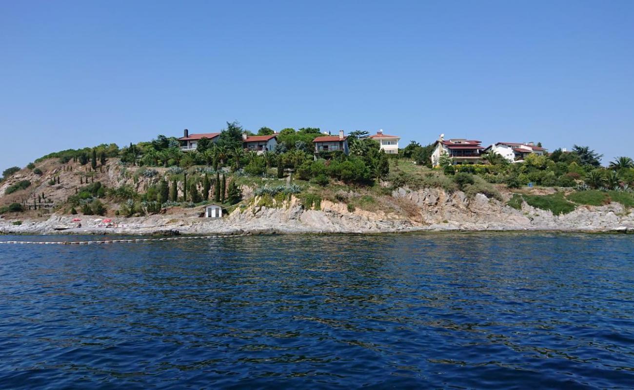 Sedef Adasi II'in fotoğrafı bej kum ve kayalar yüzey ile