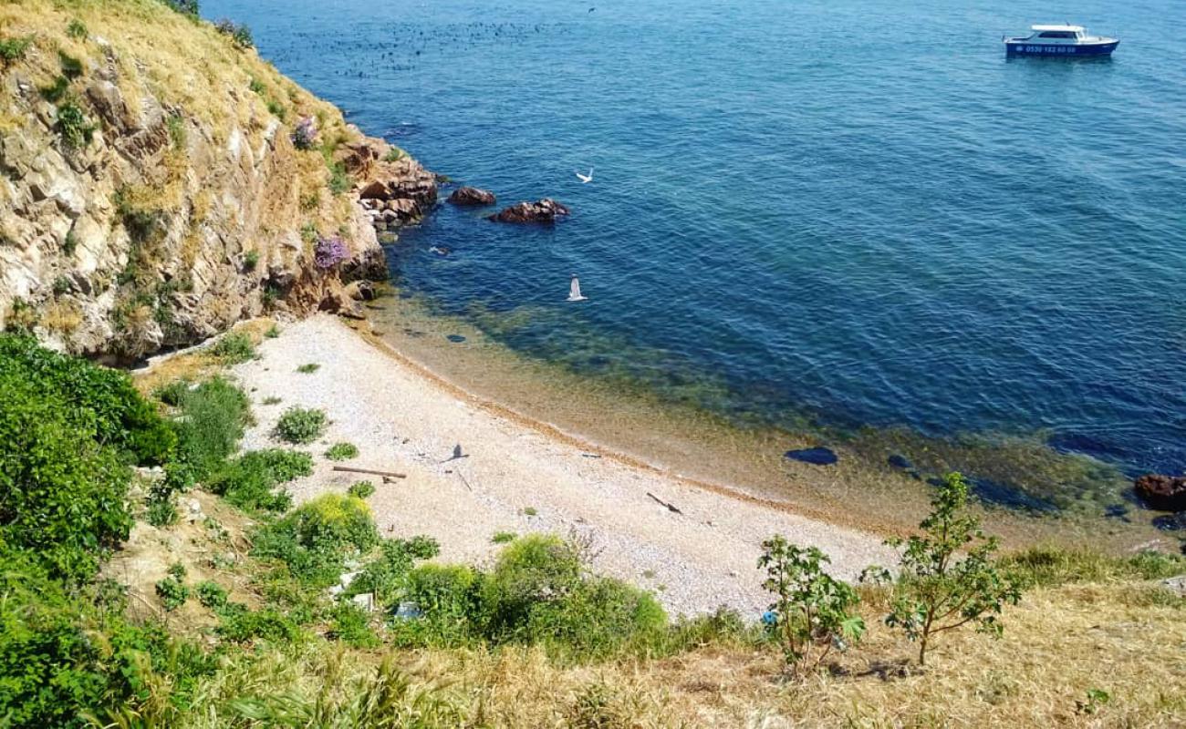 Tavsan Island'in fotoğrafı gri çakıl taşı yüzey ile