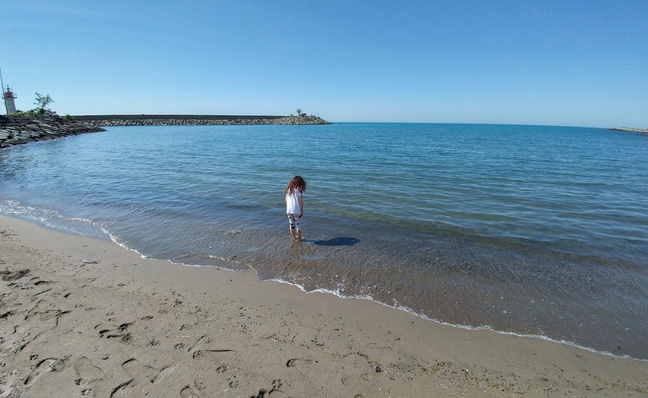 Vice Beach'in fotoğrafı parlak kum yüzey ile