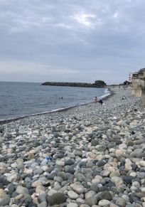 Rize İli