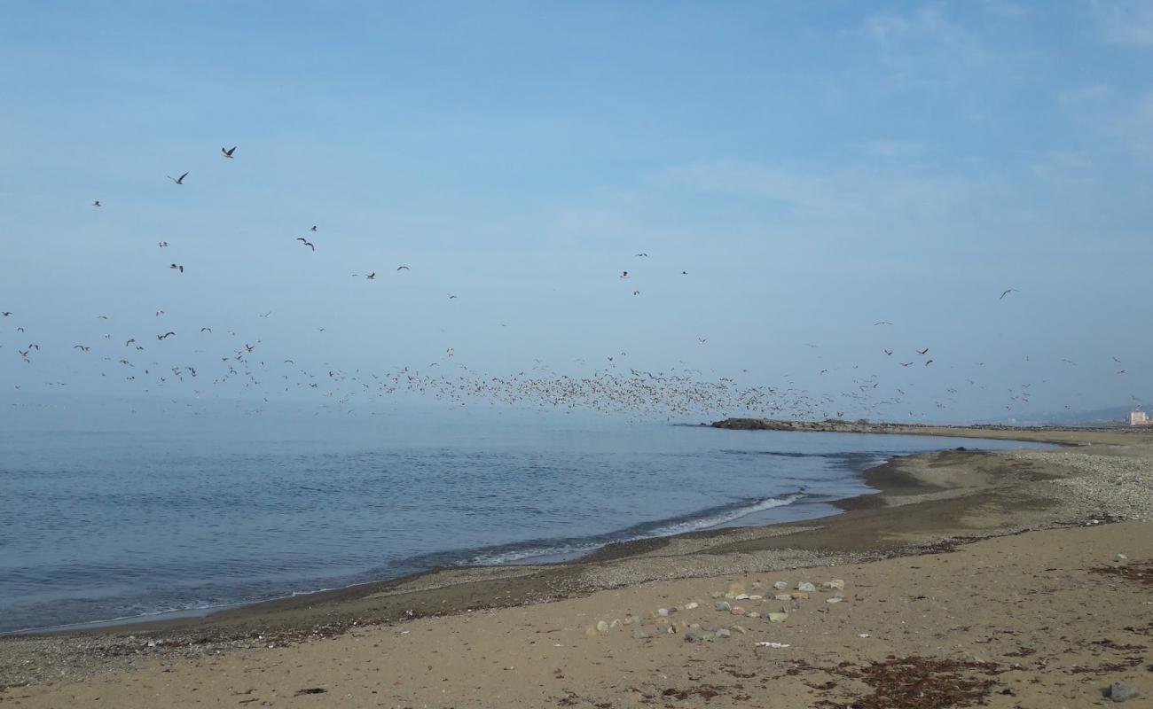 Sogukpinar Neighborhood Beach'in fotoğrafı parlak kum ve kayalar yüzey ile