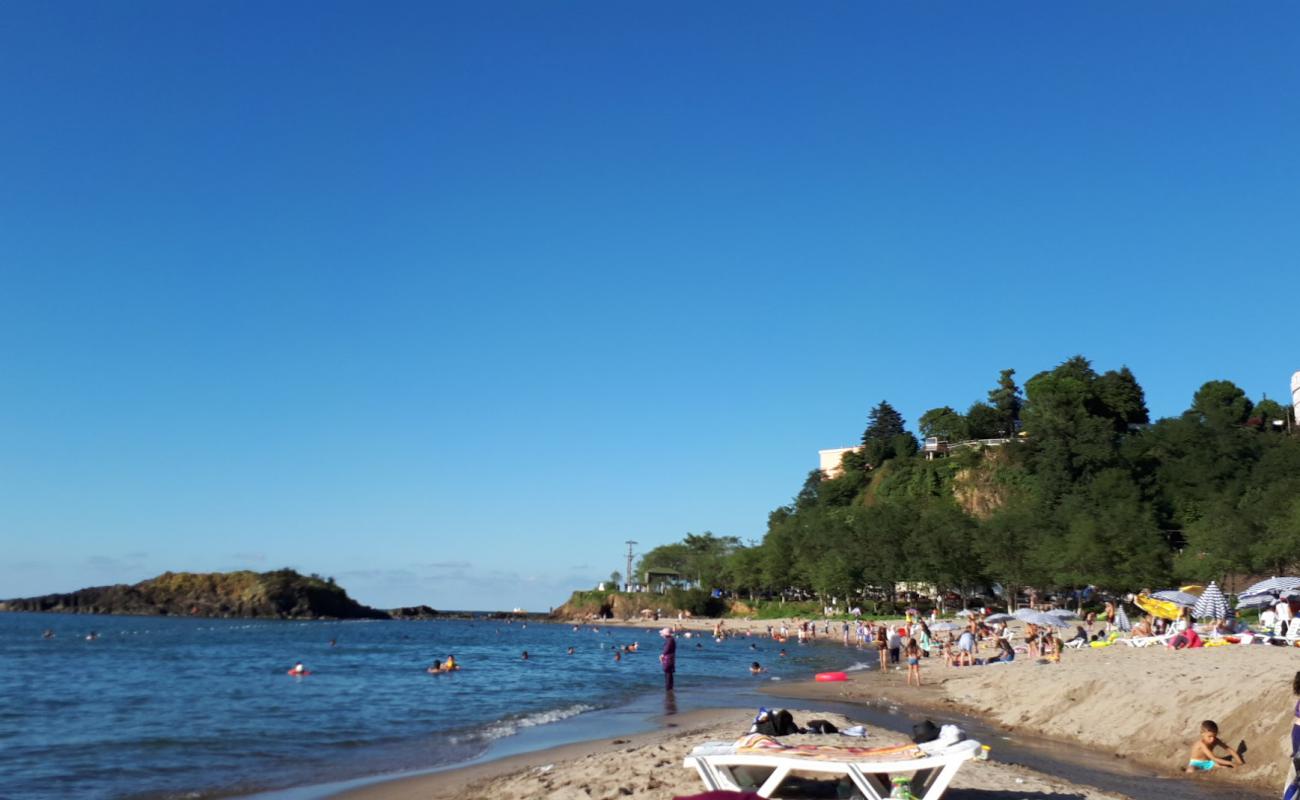 Tirebolu Beach'in fotoğrafı parlak kum yüzey ile