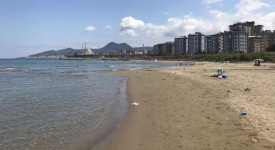 Municipal Beach