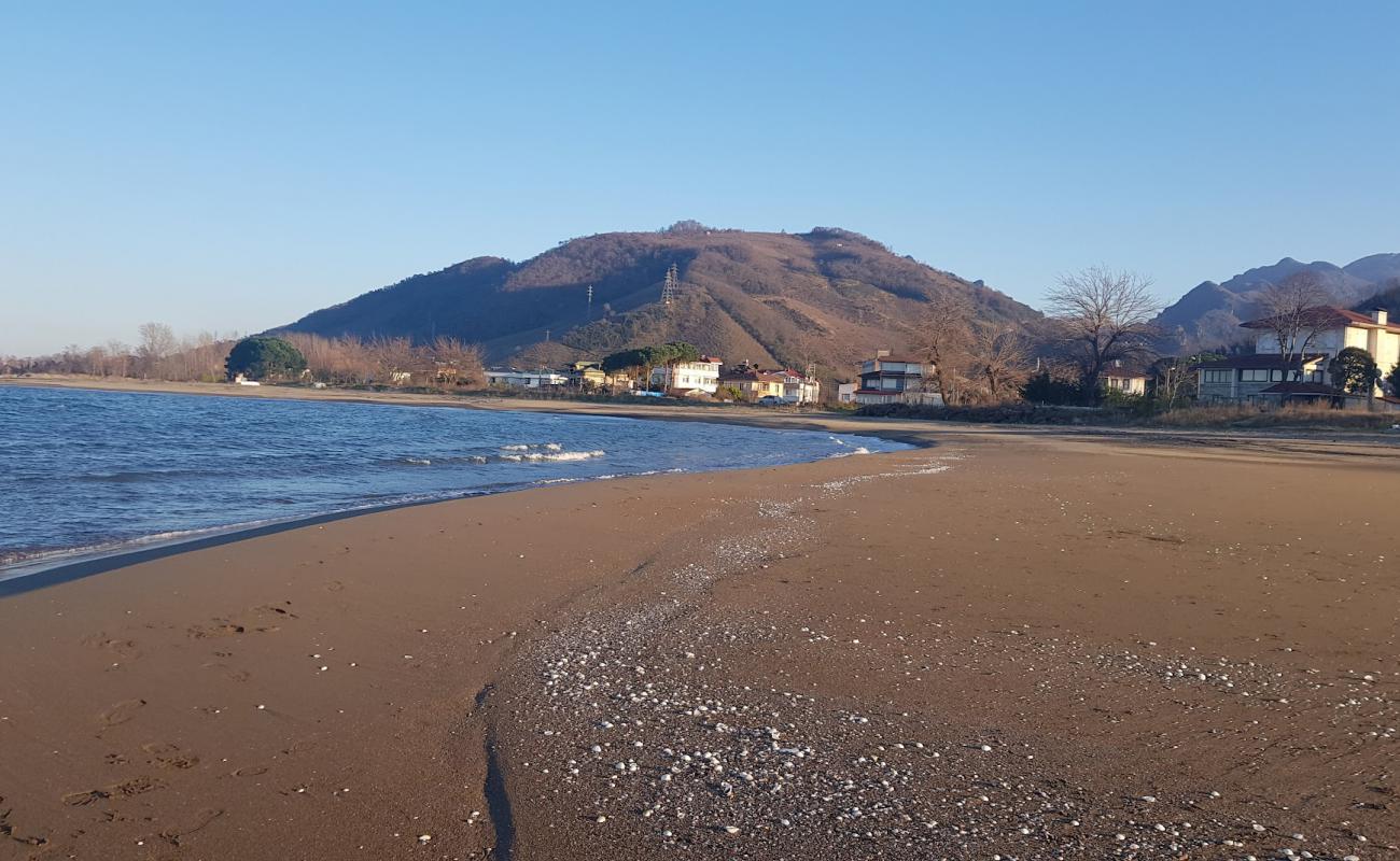 Gulyali Beach'in fotoğrafı açık bej kum yüzey ile