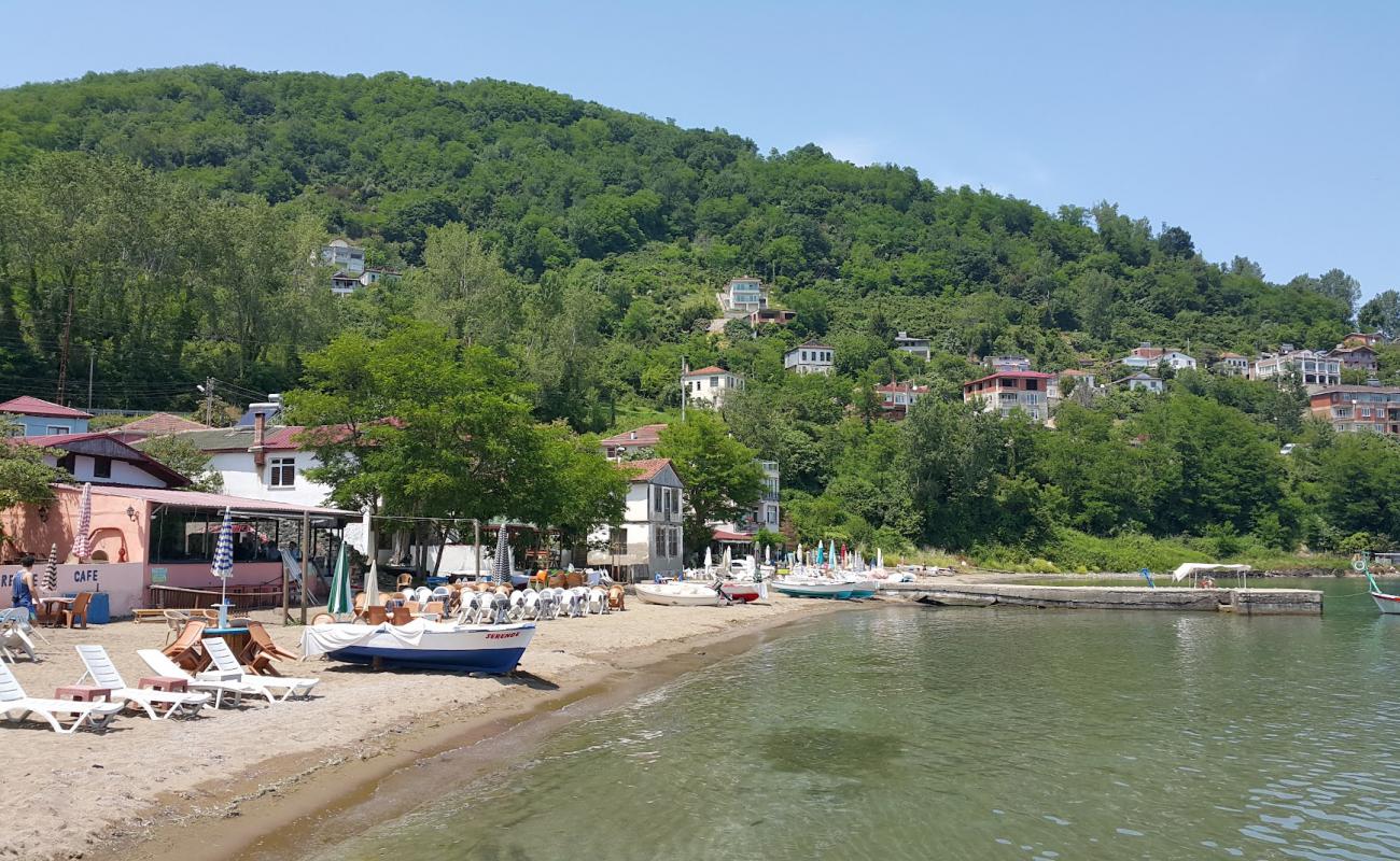 Cesmeonu Beach'in fotoğrafı parlak kum yüzey ile