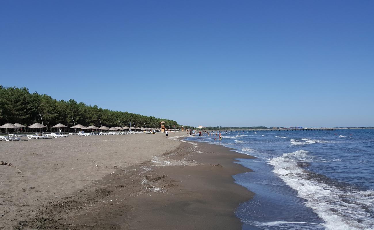 Milic Beach'in fotoğrafı gri kum yüzey ile