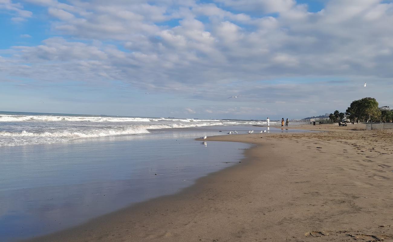 Atakum Beach'in fotoğrafı açık bej kum yüzey ile