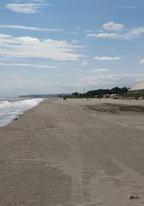 Samsun İli