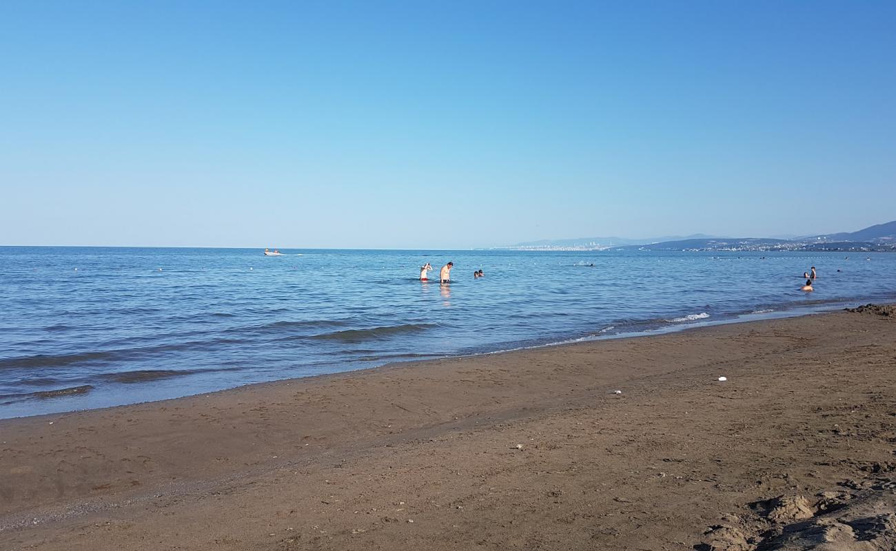 Engiz Sahil'in fotoğrafı gri kum yüzey ile