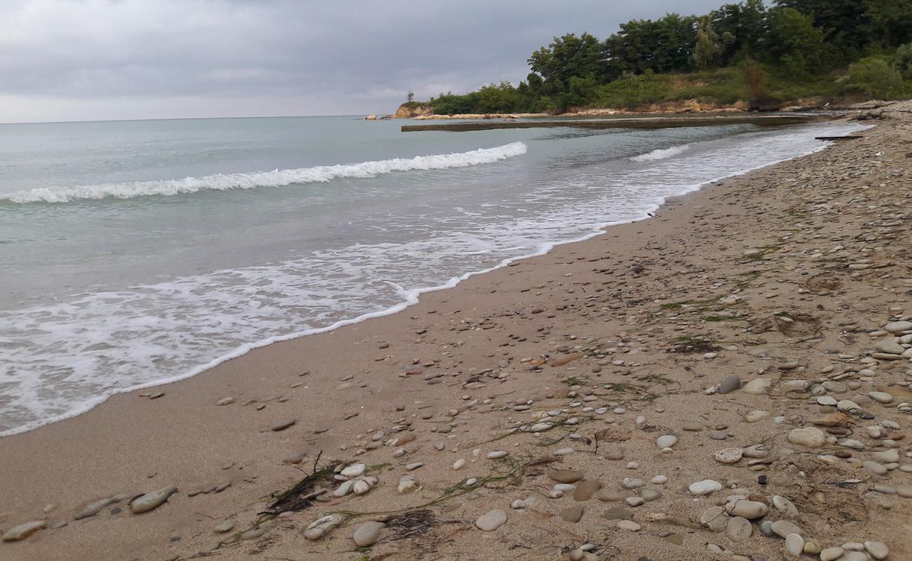 Ordu Beach'in fotoğrafı açık bej kum yüzey ile