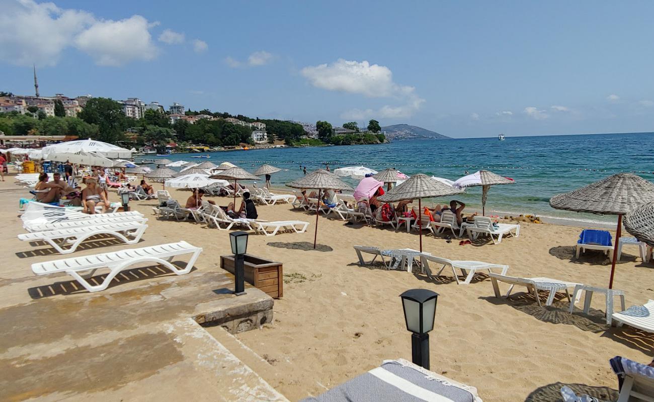 Alinn Beach'in fotoğrafı parlak kum yüzey ile