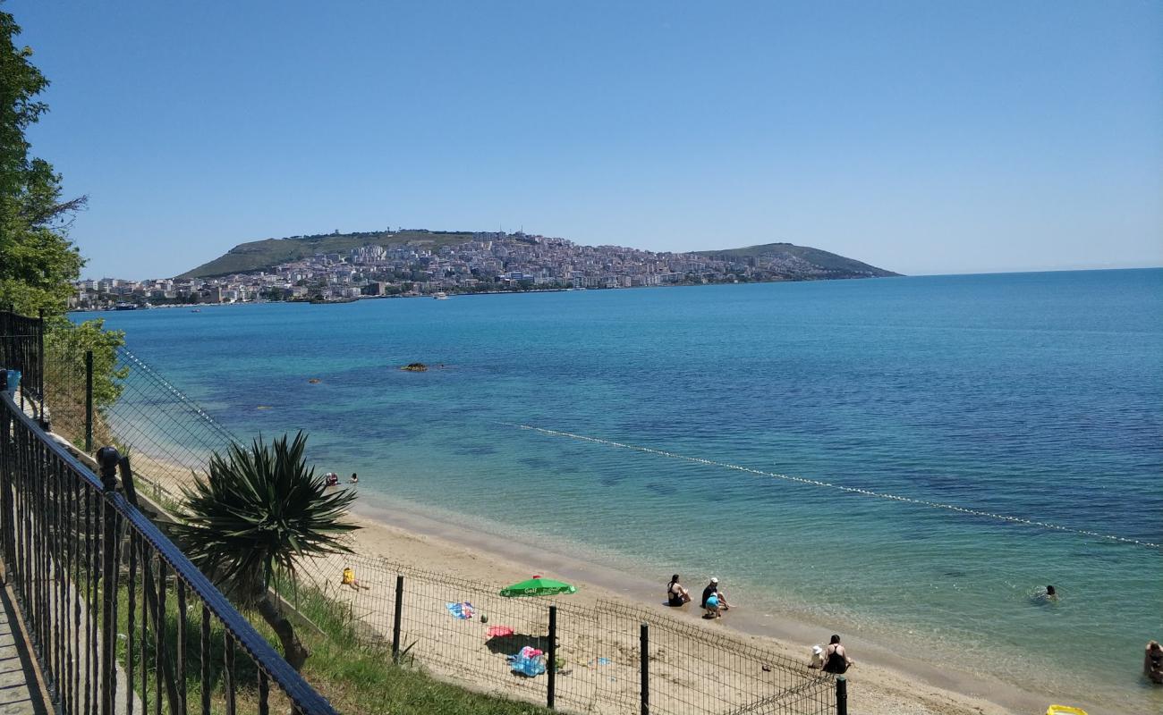 Tuna Beach Sinop'in fotoğrafı parlak kum yüzey ile