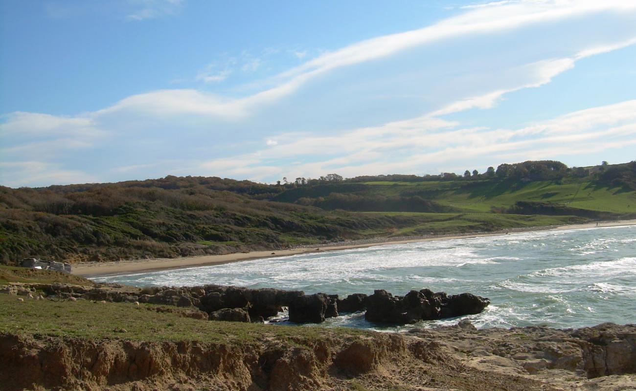 Sarikum Beach'in fotoğrafı parlak kum yüzey ile