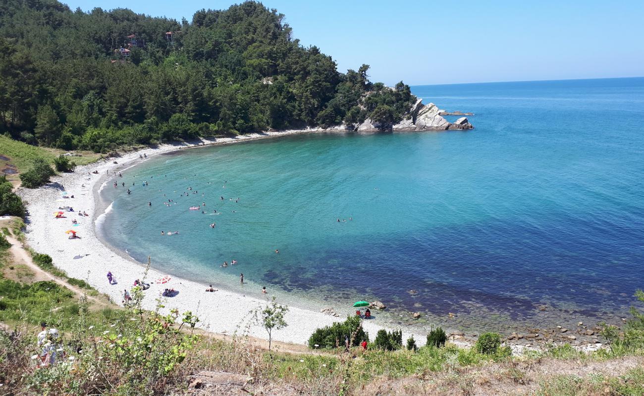 Ginolu Koyu Beach'in fotoğrafı gri çakıl taşı yüzey ile