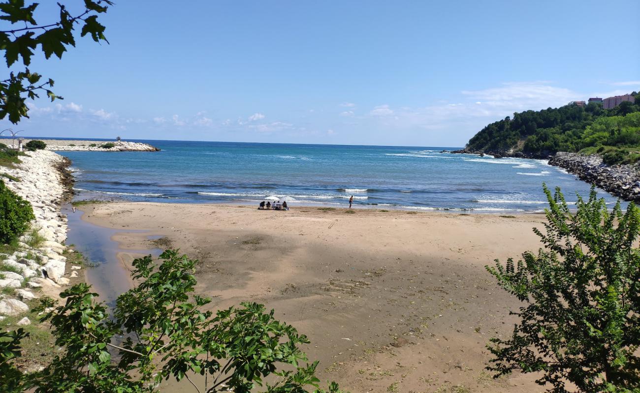 Kurucasile Beach'in fotoğrafı açık bej kum yüzey ile