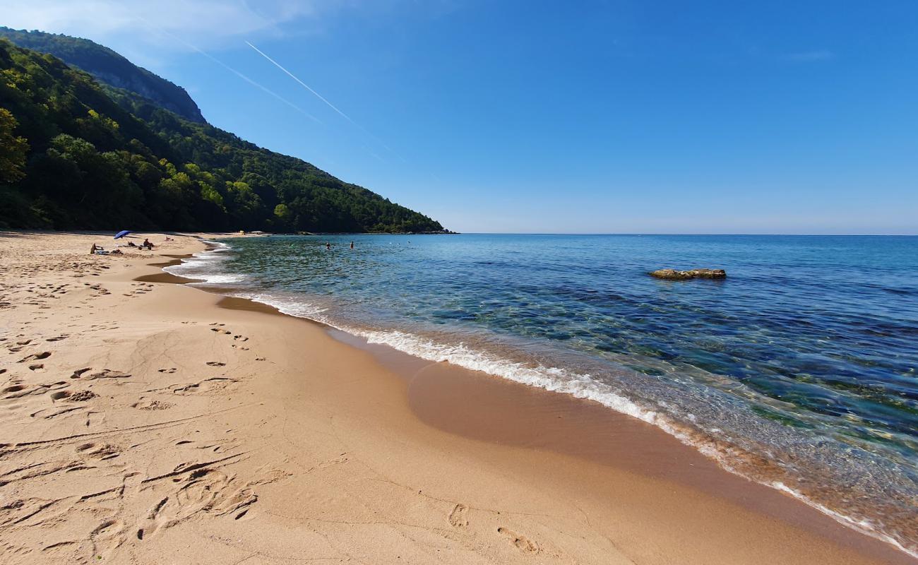 Bozkoy Plaji'in fotoğrafı açık bej kum yüzey ile