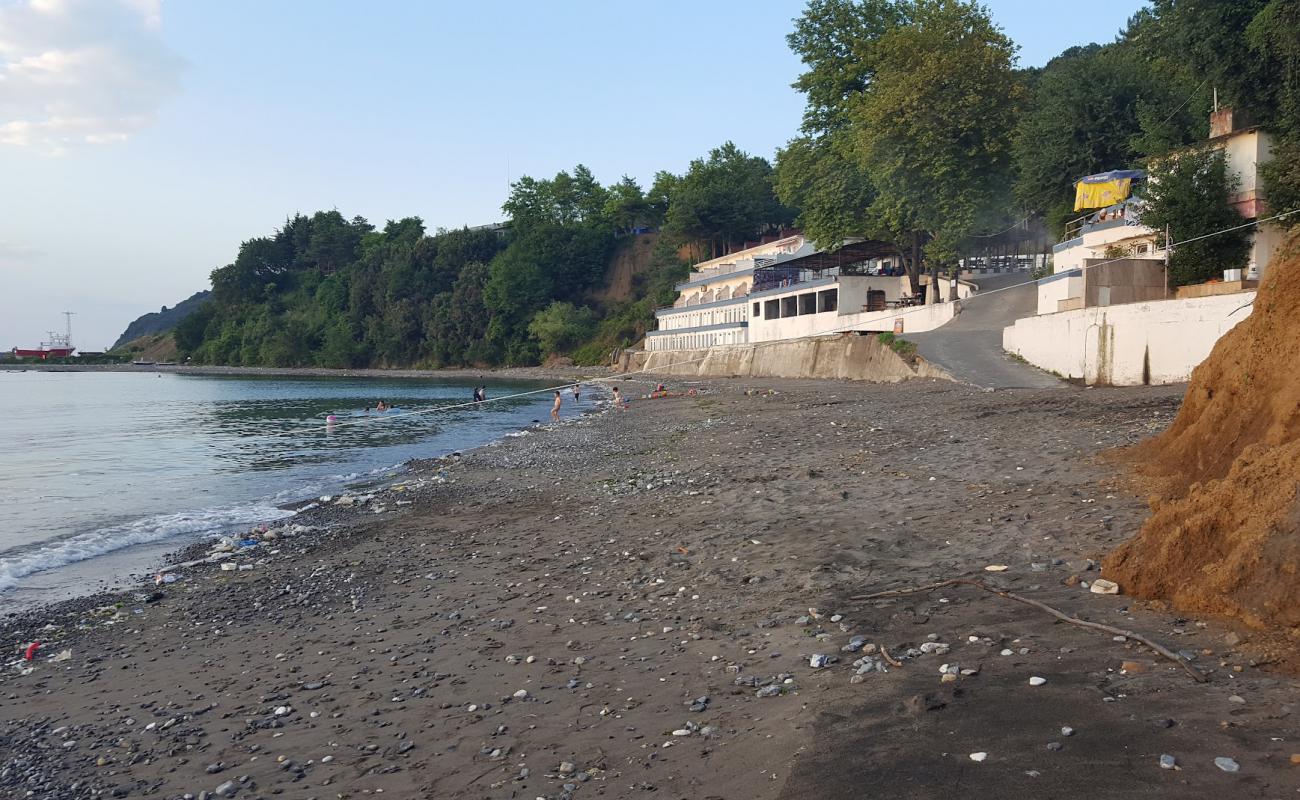 Alapli Plajı'in fotoğrafı gri çakıl taşı yüzey ile