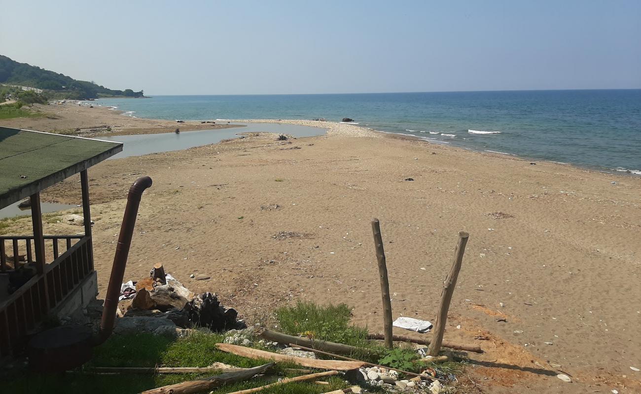 Akcakoca Plaji'in fotoğrafı açık bej kum yüzey ile