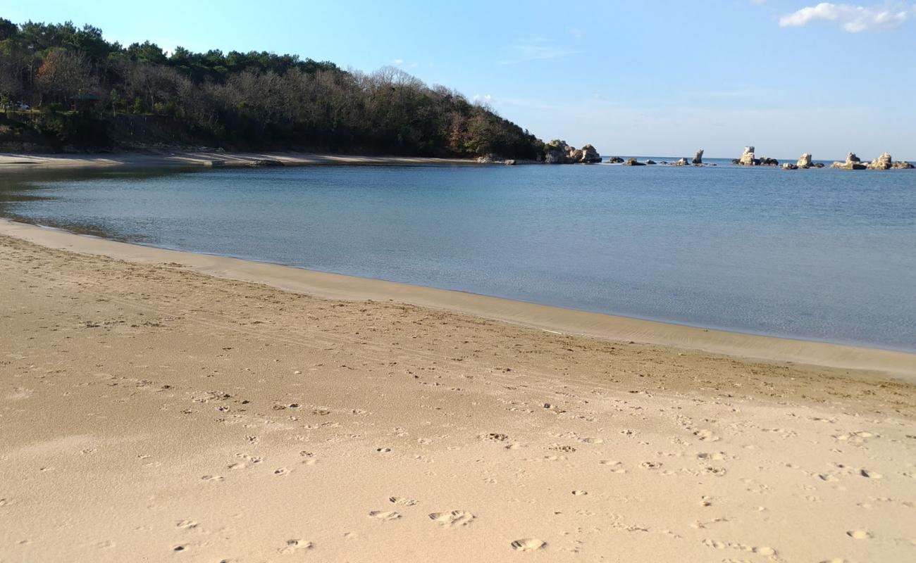Kadinlar PlajI Kerpe Mico'in fotoğrafı açık bej kum yüzey ile