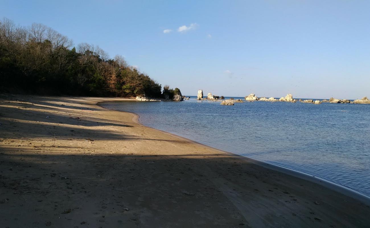 Kadinlar PlajI Kerpe Mico II'in fotoğrafı açık bej kum yüzey ile