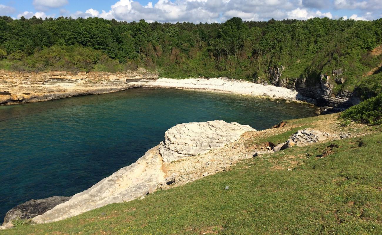 Palamar Koyo'in fotoğrafı kayalık arazi yüzey ile