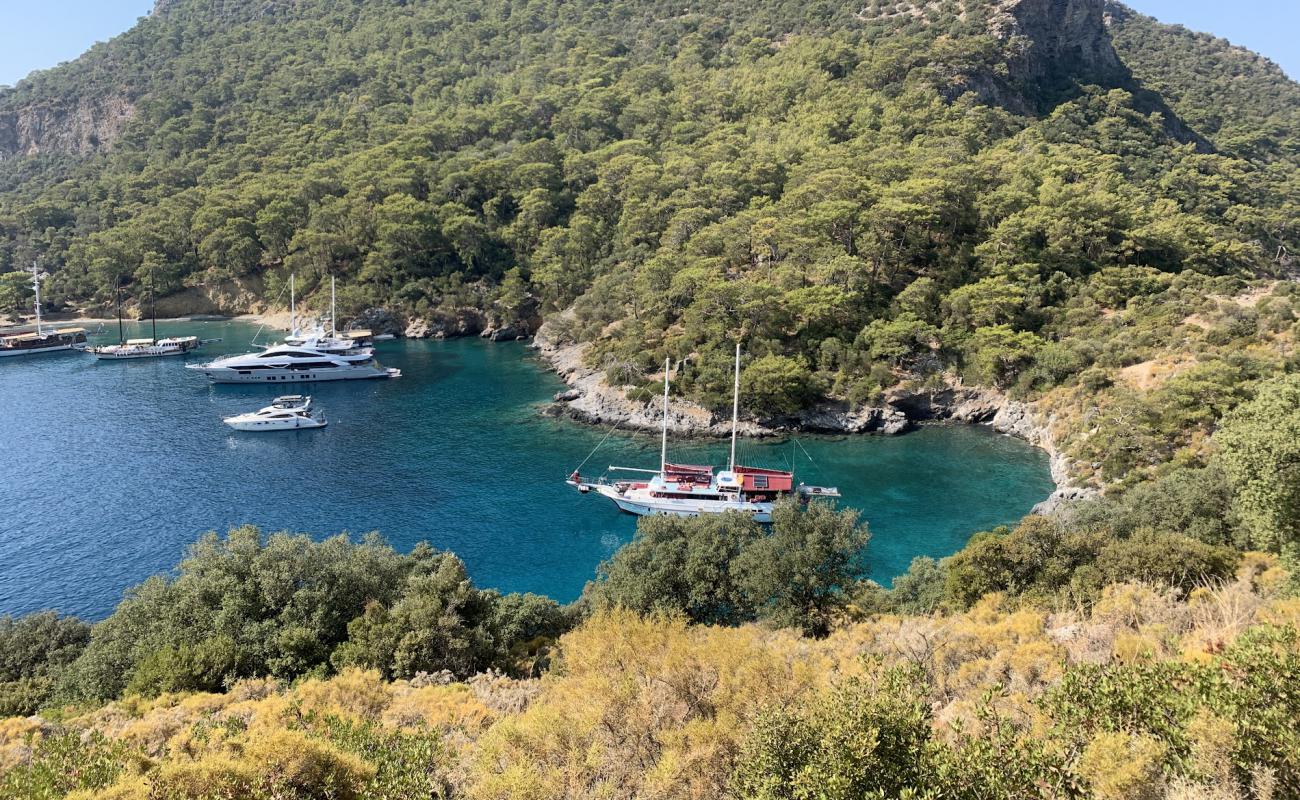 Darboğaz Fethiye Plaji'in fotoğrafı gri çakıl taşı yüzey ile