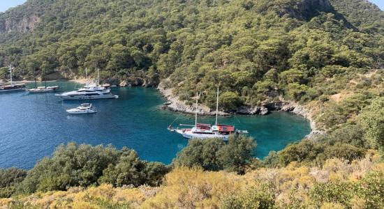 Darboğaz Fethiye Plaji