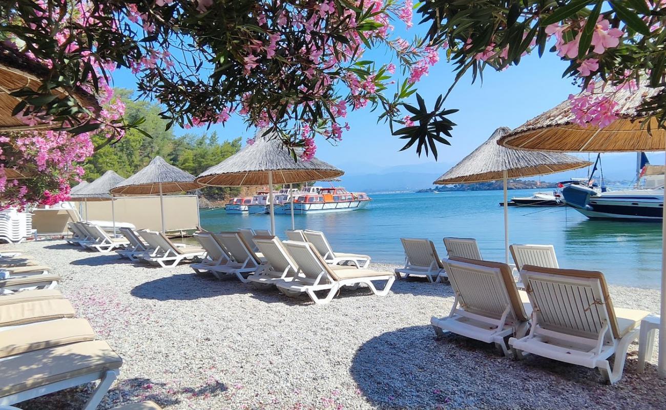 Alesta Plaji'in fotoğrafı küçük gri çakıllar yüzey ile