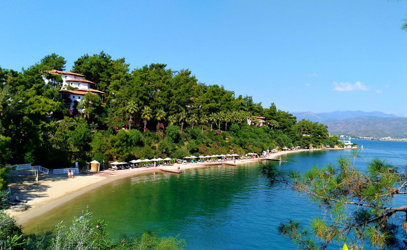 Letoonia Plaji'in fotoğrafı açık bej kum yüzey ile