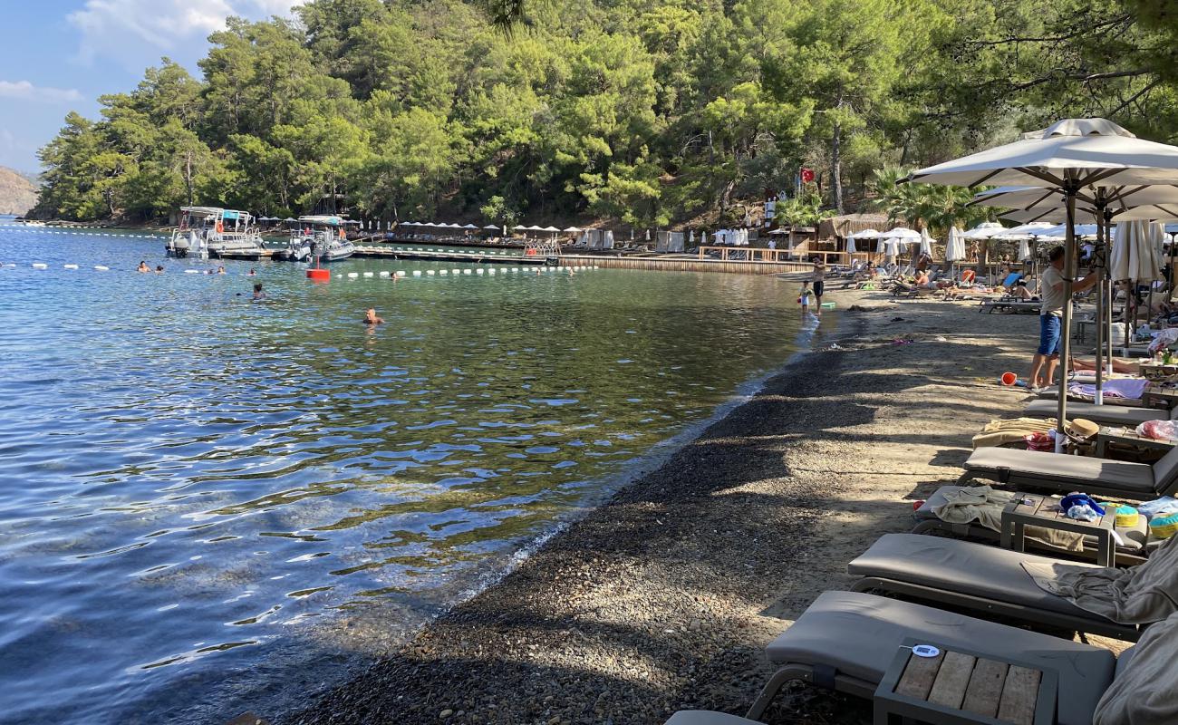 Fimi Island Plaji'in fotoğrafı açık bej kum yüzey ile
