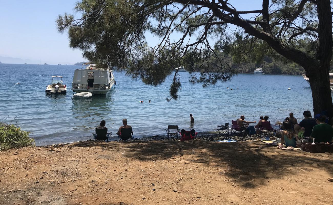 Osmanağa Köyü Plajı'in fotoğrafı gri çakıl taşı yüzey ile