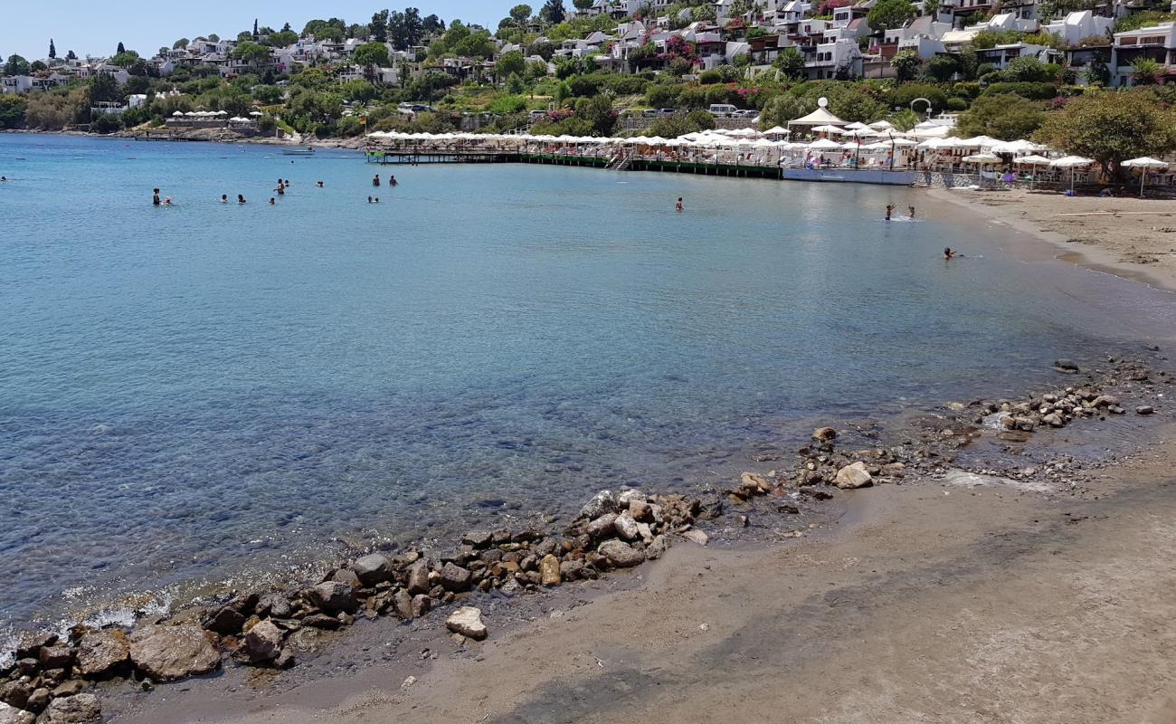 Aktur Anaplaj Plaji'in fotoğrafı gri kum yüzey ile