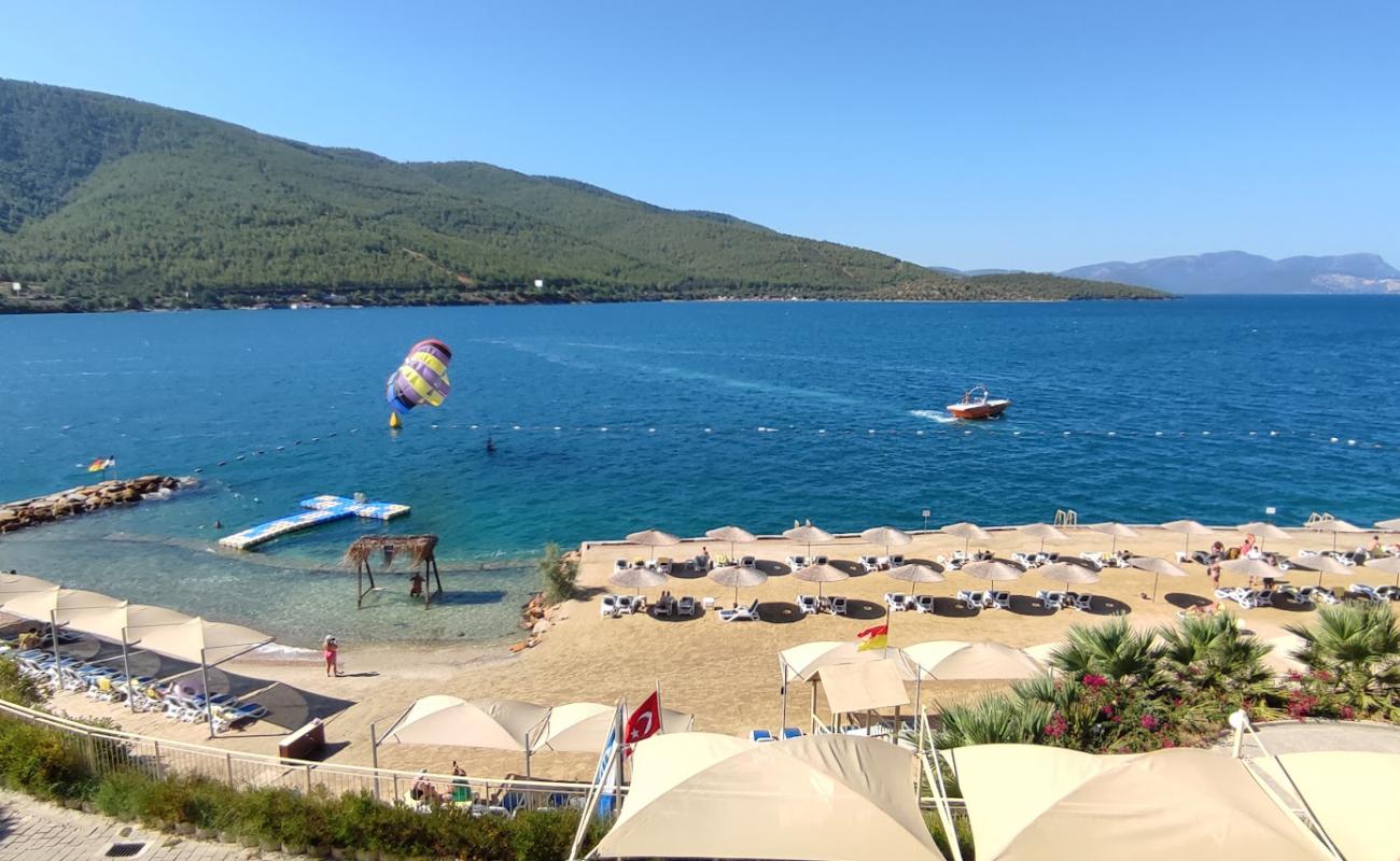 La Blanche Island Plaji'in fotoğrafı açık bej kum yüzey ile