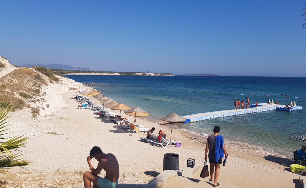 Didim Tayem Plaji'in fotoğrafı açık bej kum yüzey ile