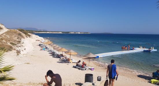 Didim Tayem Plaji
