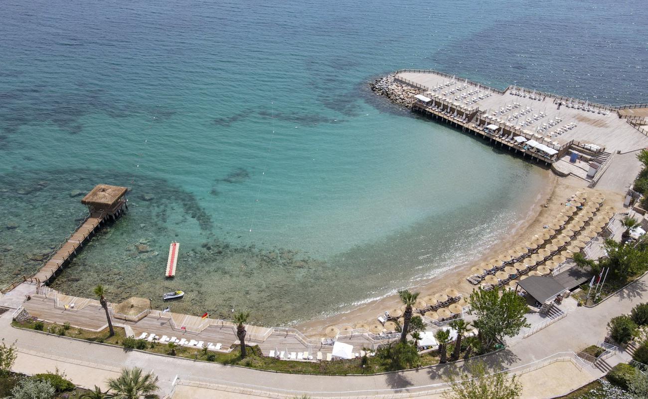 Palm Wings Plaji'in fotoğrafı açık bej kum yüzey ile