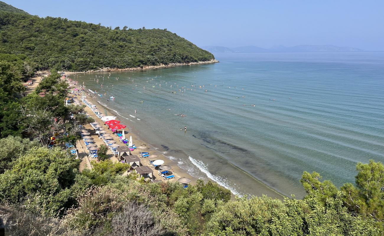 Icmeler Koyu'in fotoğrafı açık bej kum yüzey ile