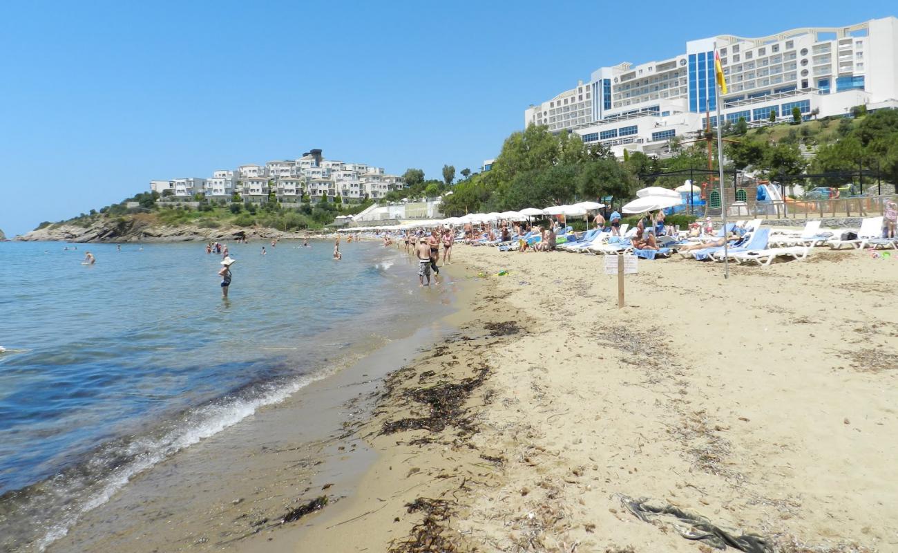 Aria Claros Plaji'in fotoğrafı açık bej kum yüzey ile