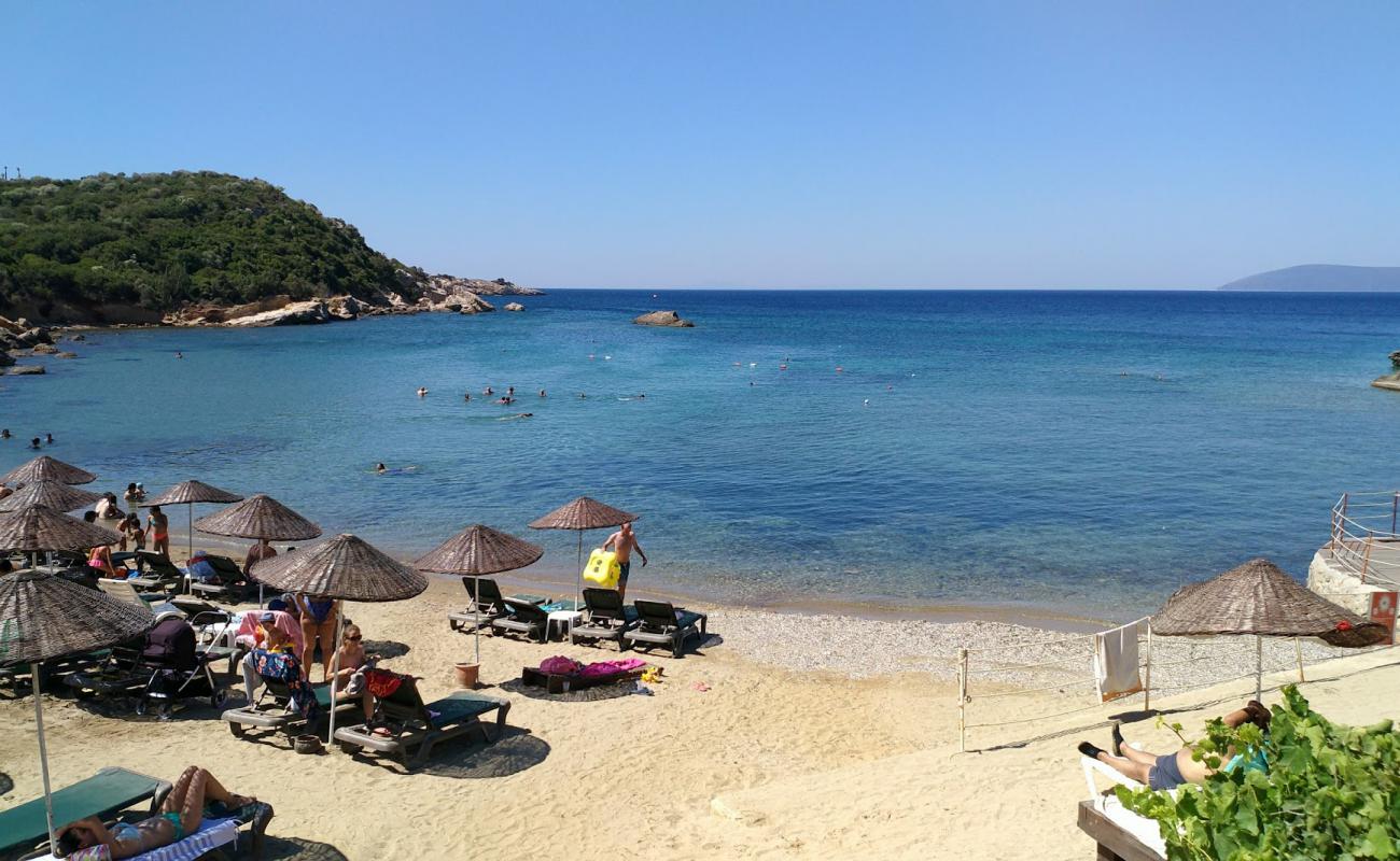 Teos Plaji'in fotoğrafı açık bej kum yüzey ile
