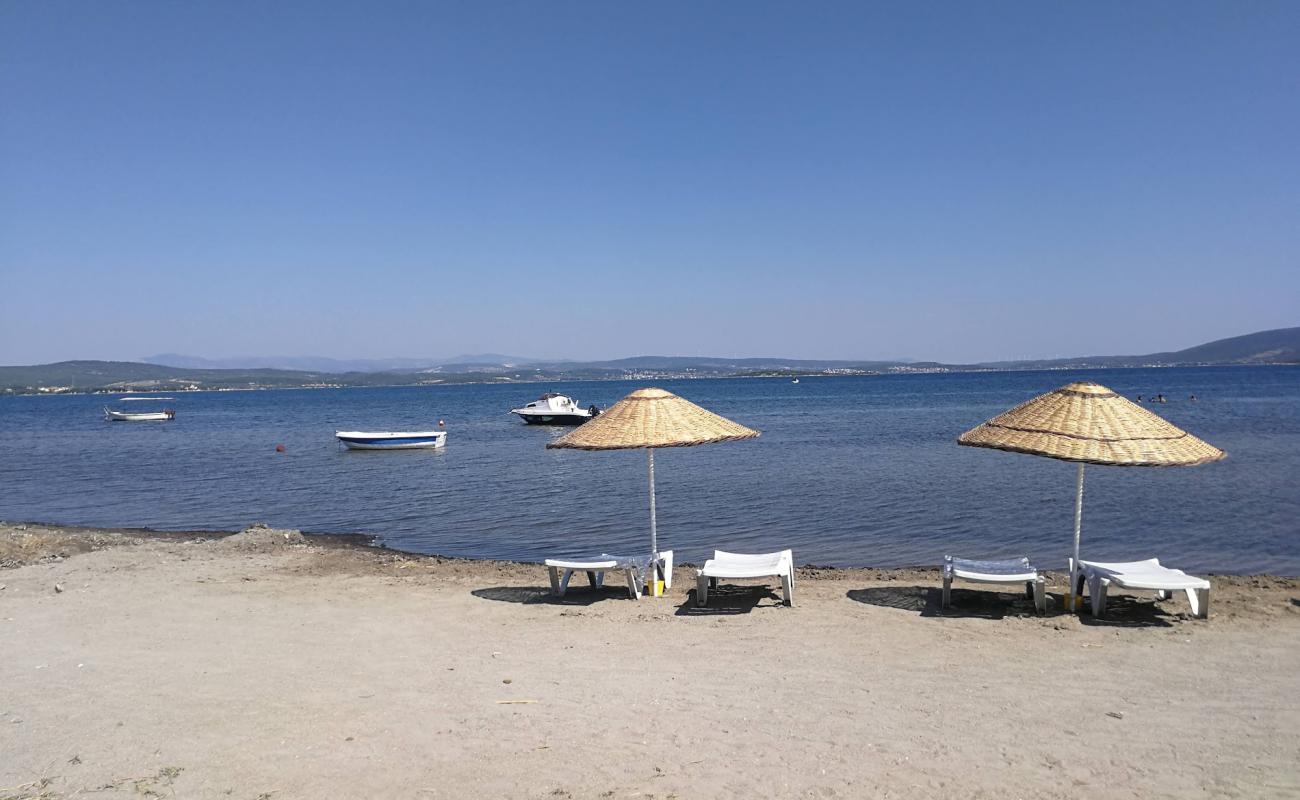 Gümüşkoy Plaji'in fotoğrafı açık bej kum yüzey ile