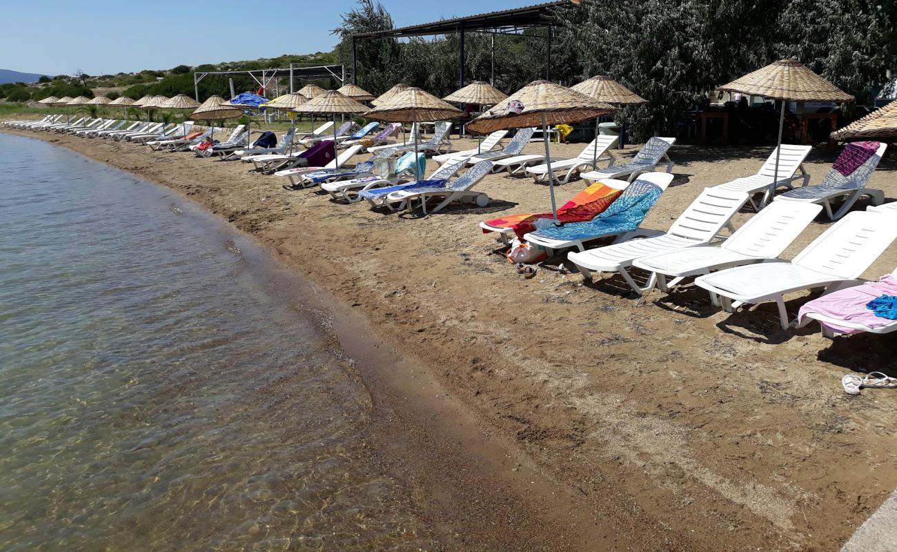 Torasan Kulübü Plaji'in fotoğrafı açık bej kum yüzey ile