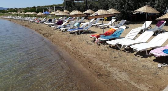 Torasan Kulübü Plaji