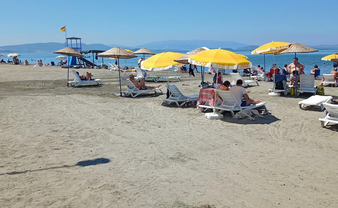 Liman Plajı'in fotoğrafı gri kum yüzey ile