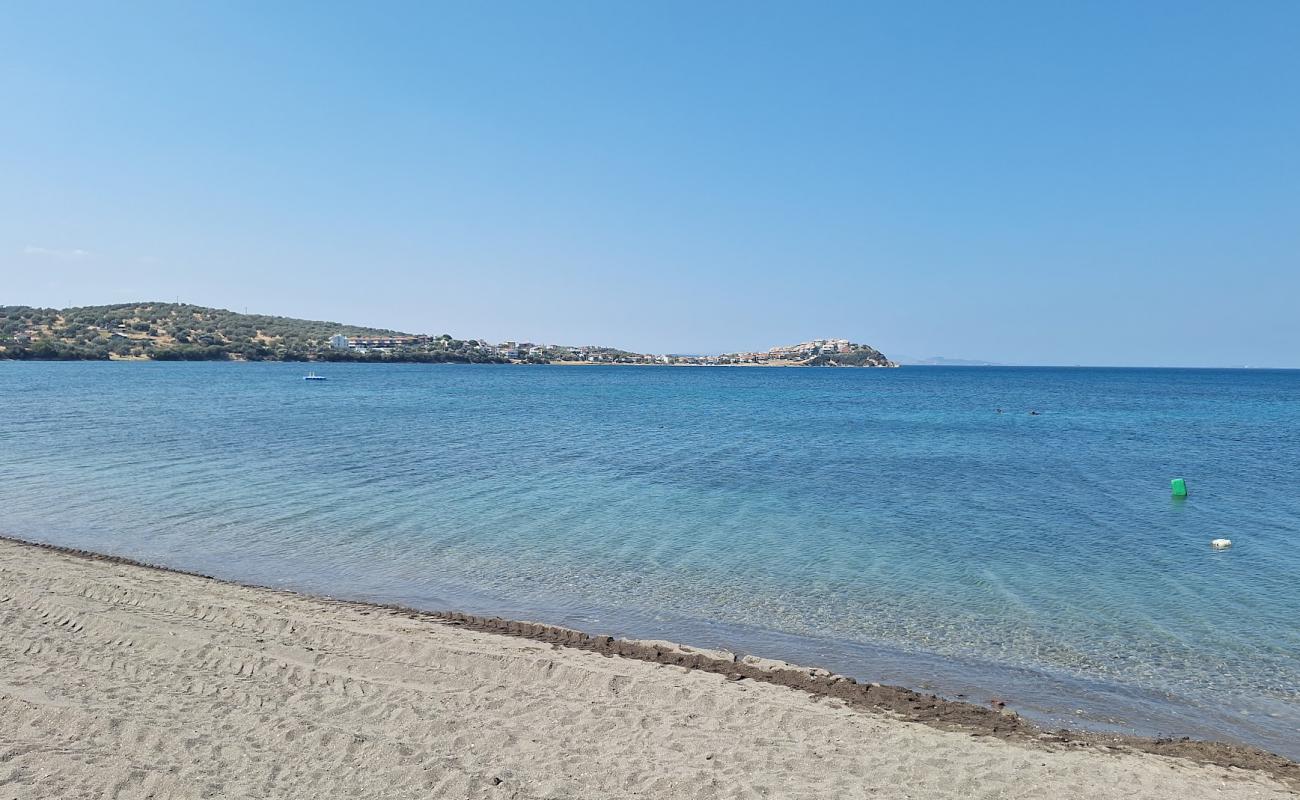 Yenişakran Plaji'in fotoğrafı gri kum ve çakıllar yüzey ile