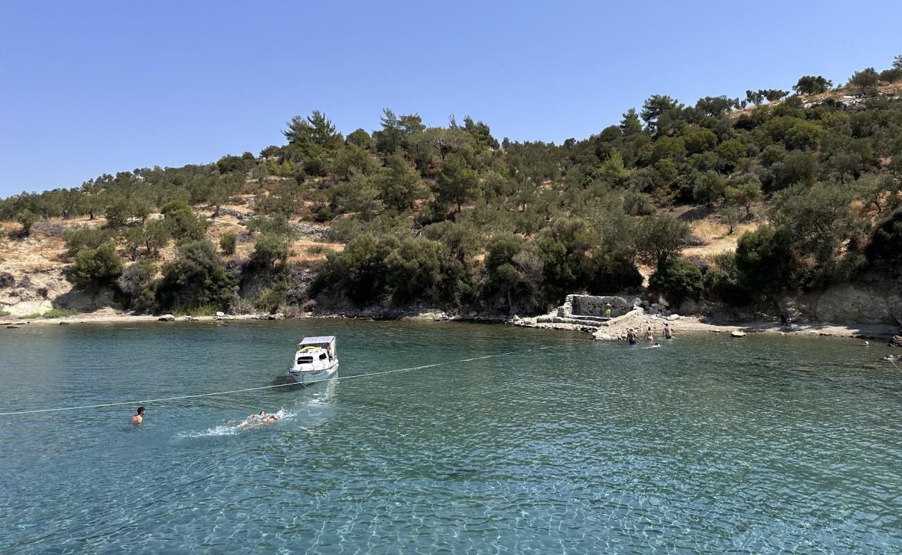 Bademli Deniz Ilıcası Plaji'in fotoğrafı kayalık arazi yüzey ile