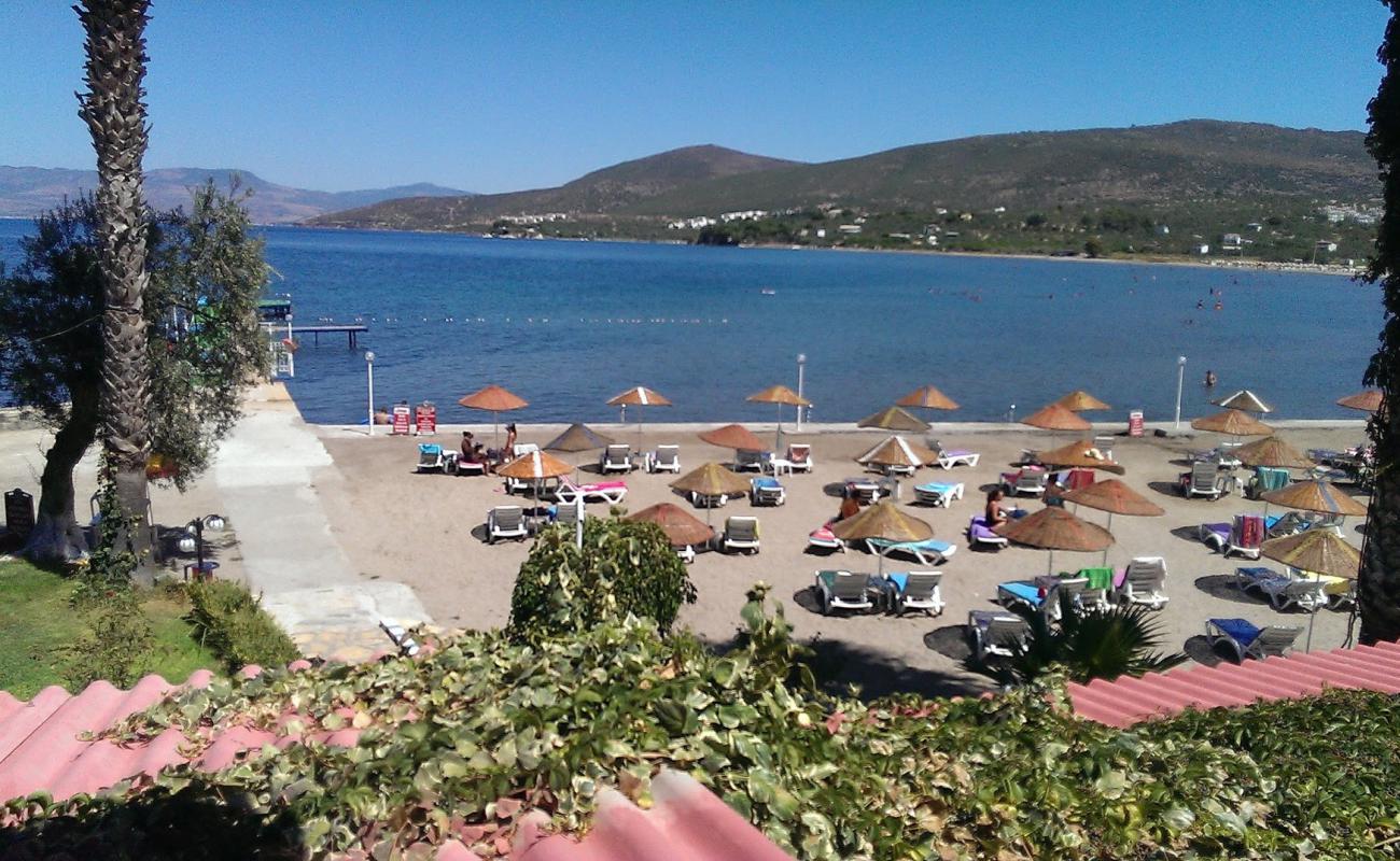 Huzur Camping Plaji'in fotoğrafı beton kaplı yüzey yüzey ile